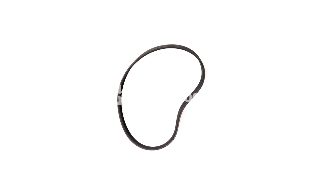 Drive Belt PJ431 306894